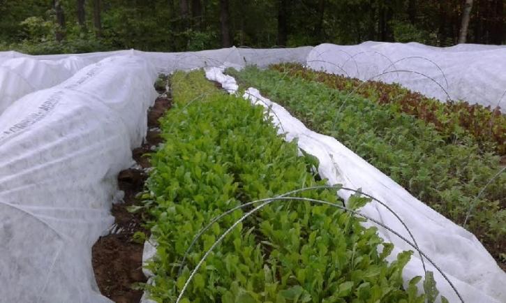 Image for Agro Textiles Market Study By Product, Application & Top Key Players - B&V Agro Irrigation Co., Beaulieu Technical Textiles, Belton Industries, Inc., CAPATEX LTD, Diatex with ID of: 3574710