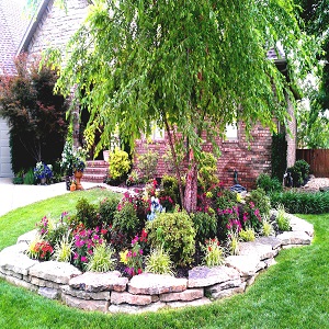 Image for Roley's Tree Care Service Corona - Dale Roley Consulting Arborist with ID of: 3574745