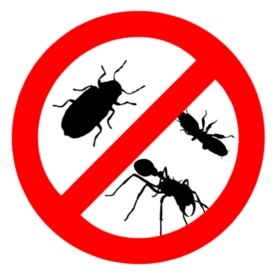 Image for Austin Pest Control Pros with ID of: 3575564