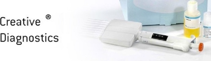 Image for human leptin elisa kit with ID of: 3576015