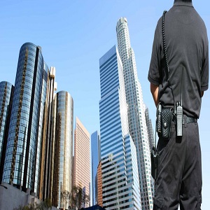 Image for Chief Protective Services Inc with ID of: 3576032