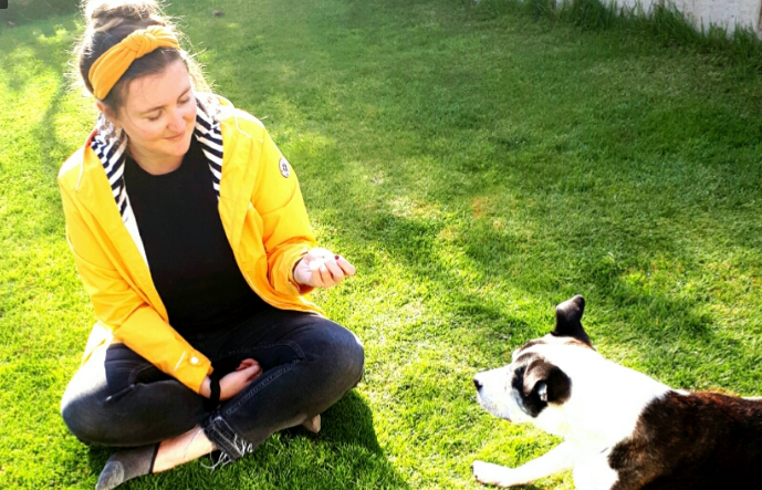 Image for Pawsitive Vibes with ID of: 3576366