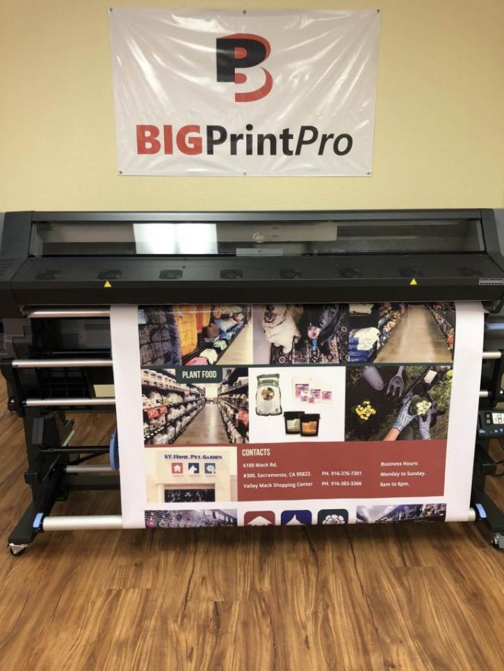 Image for Big Print Pro with ID of: 3577048