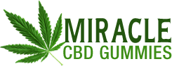Image for CBD Gummy Bears Available At Miracle CBD Gummies with ID of: 3577287