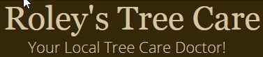 Image for Roley's Tree Care Service Norco - Dale Roley Consulting Arborist with ID of: 3578899