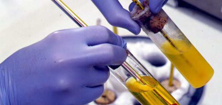 Image for Refinery Fuel Additive Market Study By Type, Application & Top Key Players - BASF SE, Chevron Oronite Company LLC, Dorf-Ketal Inc., Evonik Industries AG with ID of: 3580534