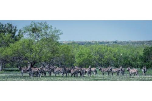 Image for 777 Ranch with ID of: 3580969