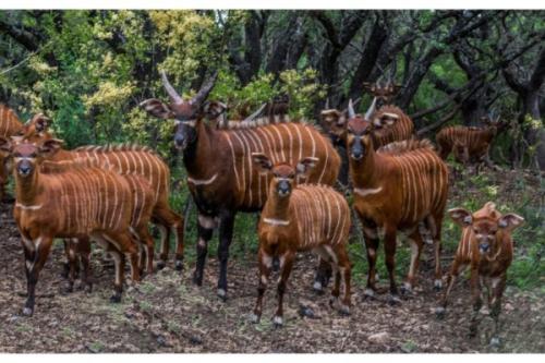Image for 777 Ranch with ID of: 3580970