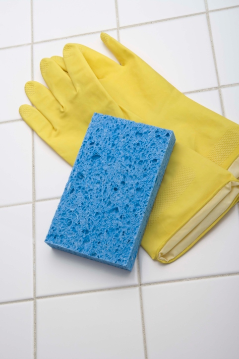 Image for Minerva's Cleaning Service with ID of: 3581334