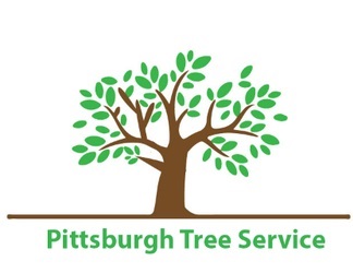 Image for Pittsburgh Tree Service with ID of: 3582201
