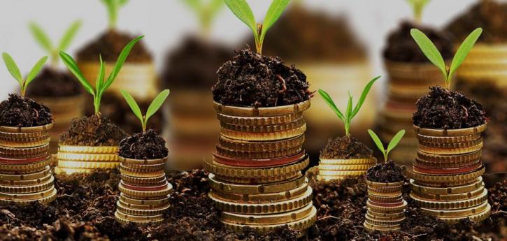 Image for Fixed Deposit vs Recurring Deposit – Which is Better? with ID of: 3582978