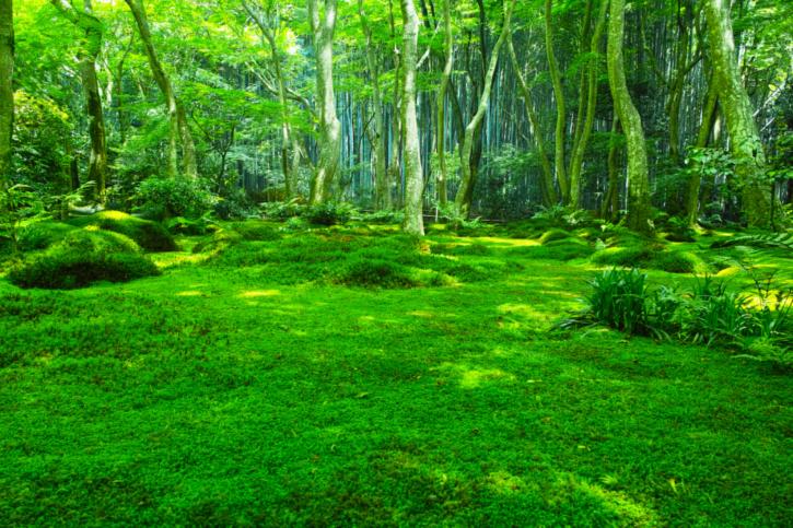 Image for SEDAC Environnement with ID of: 3584093