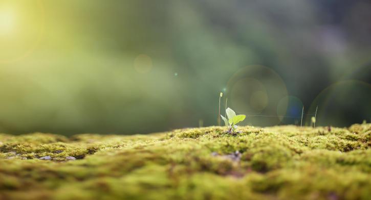 Image for SEDAC Environnement with ID of: 3584099