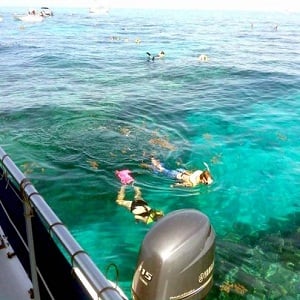 Image for Snorkeling Tours Marathon FL with ID of: 3585053