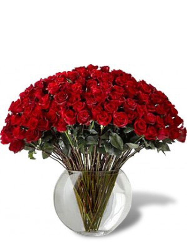 Image for Miami Gardens Florist with ID of: 3587503