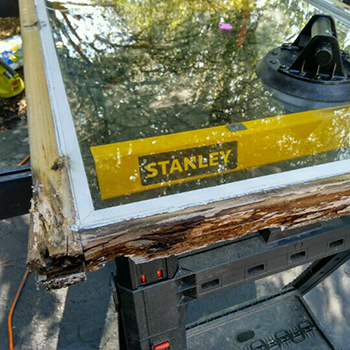 Image for Home Window Repair, Glass Replacement with ID of: 3587833