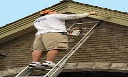 Image for Sunbelt Pro Painters with ID of: 3588155