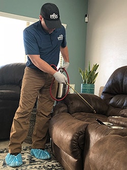 Image for Scottsdale Bed Bug Expert with ID of: 3588212