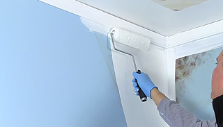 Image for Mold Killing Primer with ID of: 3588631