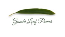 Image for Gumbi Leaf Powder with ID of: 3589173