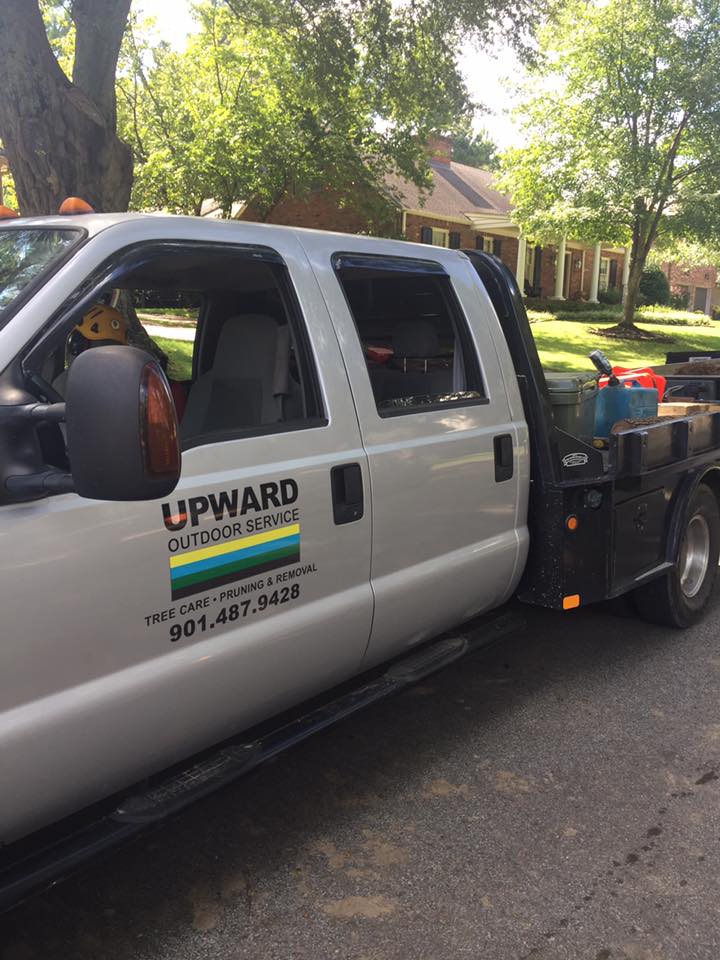 Image for Upward Outdoor Tree Services with ID of: 3589389