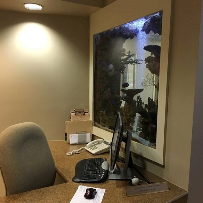 Image for John B Chrispens DDS with ID of: 3589428