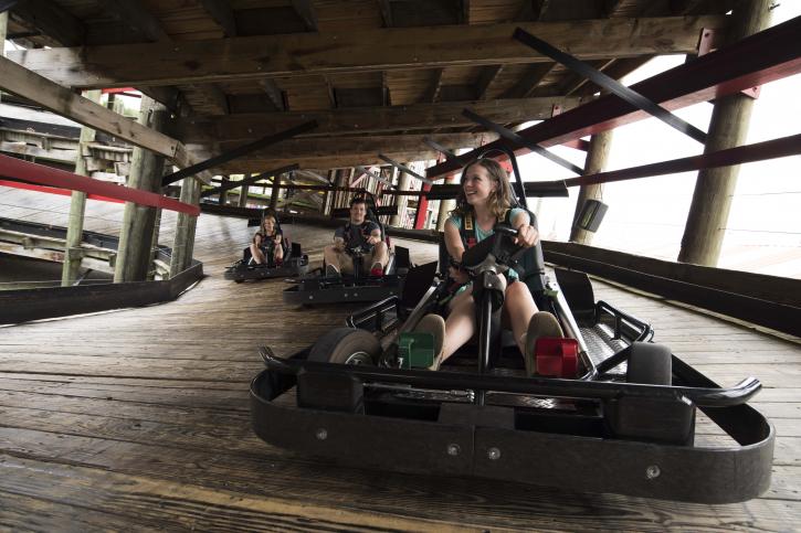 Image for SpeedZone Fun Park with ID of: 3589748