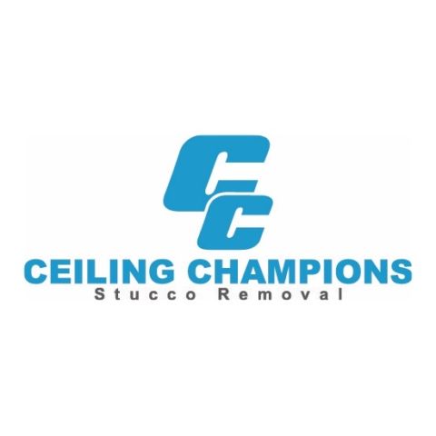 Image for Ceiling Champions with ID of: 3590941