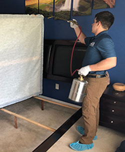 Image for Chandler Bed Bug Expert with ID of: 3591232
