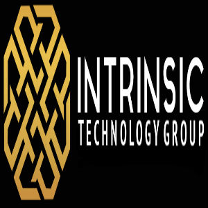 Image for Intrinsic Technology Group with ID of: 3591957