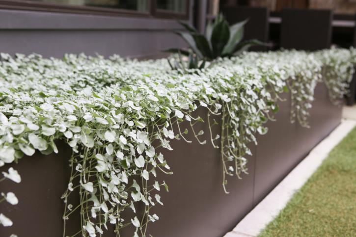 Image for Waterloo Outdoor Design Build with ID of: 3592906