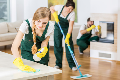 Image for Boca Carpet Cleaner with ID of: 3593012