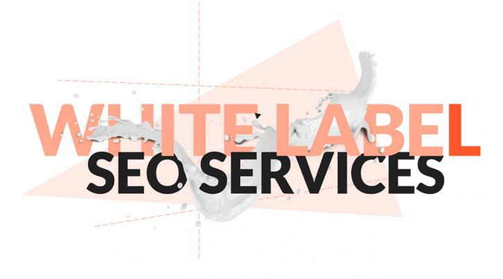 Image for white label seo company with ID of: 3593691