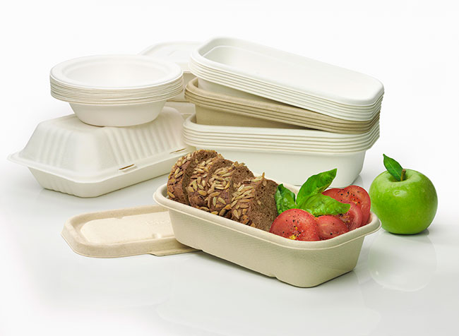 Image for Bioplastic Packaging Market Study By Types, Sectors & Top Key Players - BASF SE, Braskem S.A., Koninklijke DSM N.V., Arkema S.A., Innovia Films, Ltd., Metabolix, Inc. with ID of: 3594686