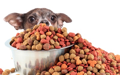 Image for Pet Food Market Study By Types, Pets & Top Key Players - Nestle S.A., Mars Inc., Procter & Gamble, Big Heart Pet Brands with ID of: 3594698