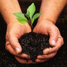 Image for Biofertilizers Market Study By Crop Type, Microorganism & Top Key Players - CBF China Biofertilizers AG, Novozymes A/S, Agri Life, Antibiotice S.A with ID of: 3594833