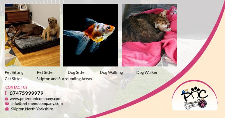 Image for Petz Need Company with ID of: 3594946