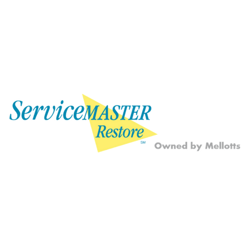 Image for ServiceMaster Restore, Owned by Mellotts with ID of: 3595535