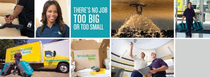 Image for ServiceMaster Restore, Owned by Mellotts with ID of: 3595572