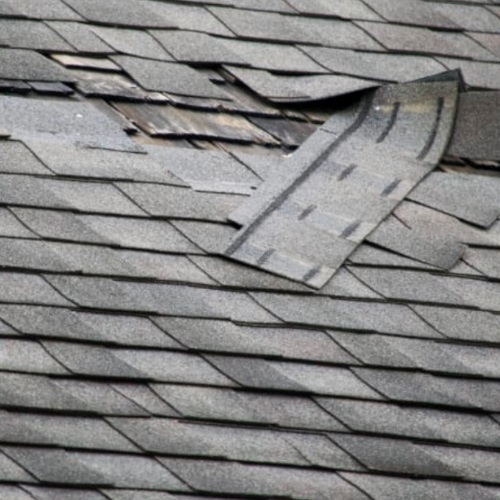 Image for Rhino Roofing, LLC with ID of: 3596066