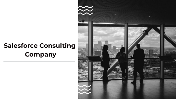 Image for Salesforce Consulting Services with ID of: 3597261