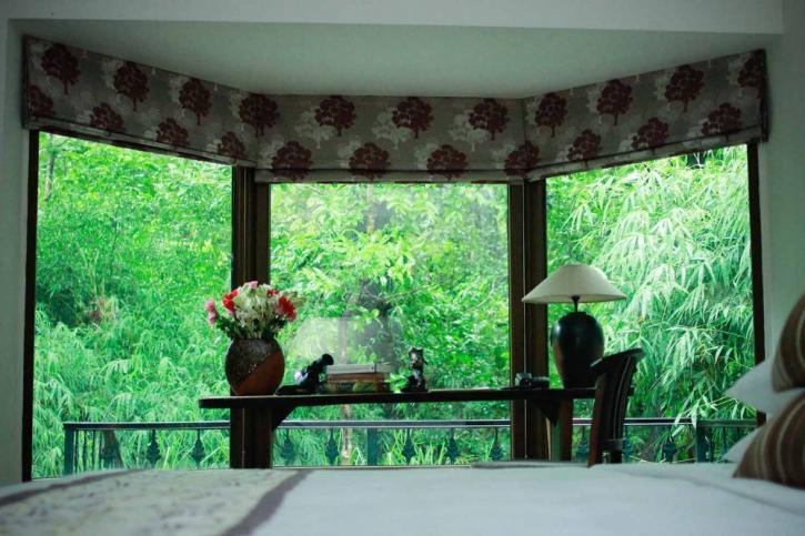 Image for Singinawa Jungle Lodge with ID of: 3598008