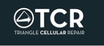 Image for TCR: Triangle Cellular Repair with ID of: 3598115