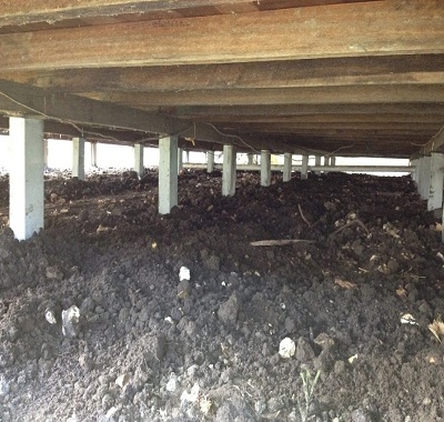 Image for Restumping Melbourne with ID of: 3598862