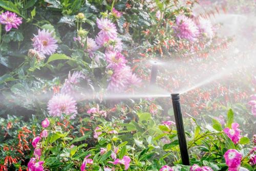 Image for Hoffman Irrigation with ID of: 3598952