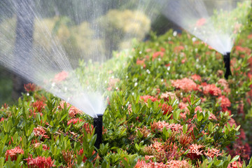 Image for Hoffman Irrigation with ID of: 3598954