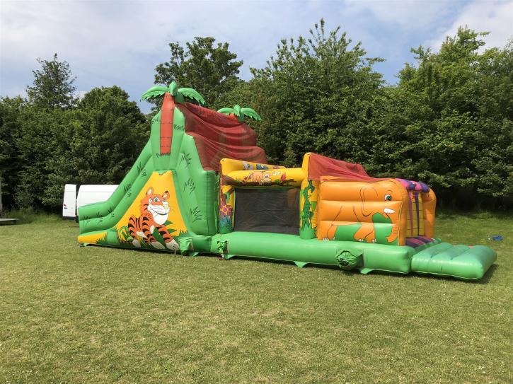Image for Mega Inflatables with ID of: 3599287