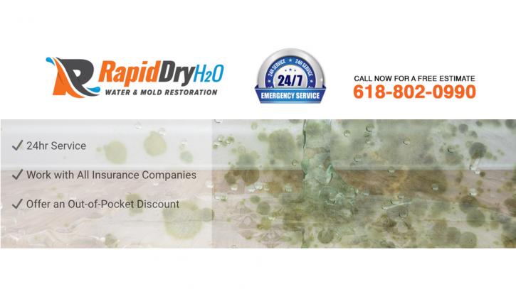 Image for Rapid Dry Cleaning & Restoration with ID of: 3600521