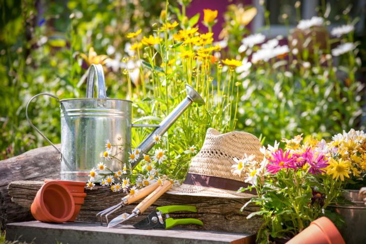 Image for Long Beach Landscape Design with ID of: 3602632