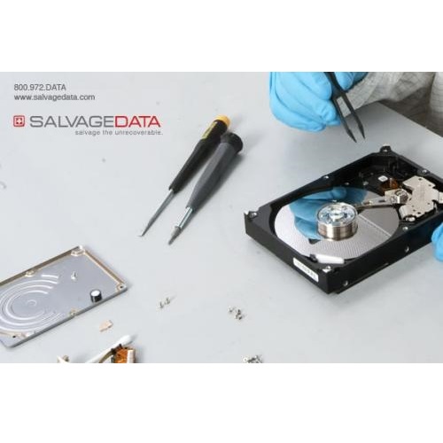 Image for SALVAGEDATA Recovery Services with ID of: 3602776